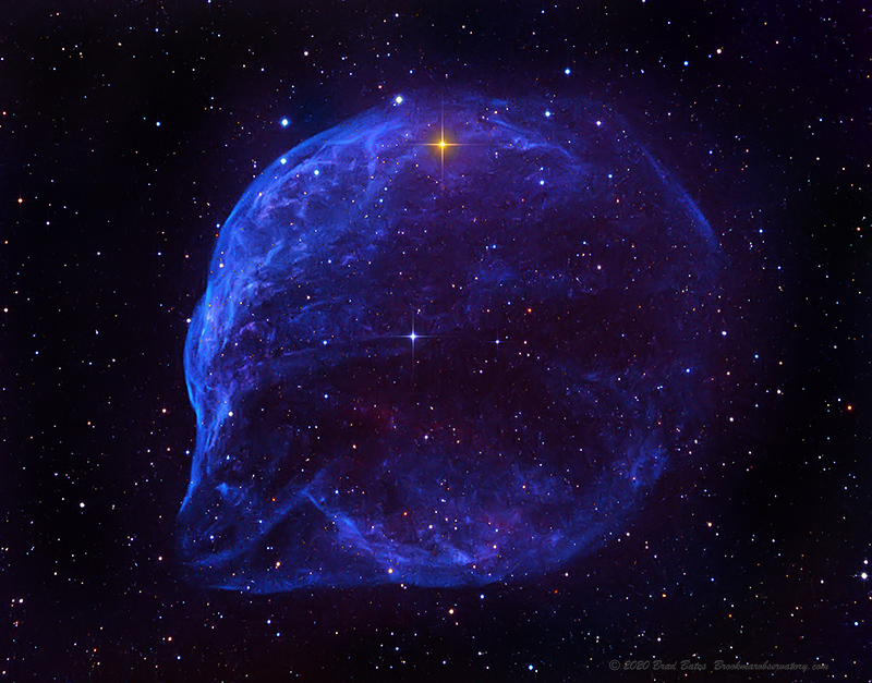 SH2-308 Dolhpin Nebula